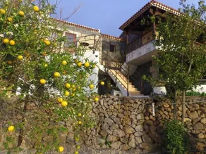 Finca Wawa Tenerife - Image 5