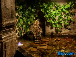 Xitang Town Dayin Fuguang Homestay - Image 2