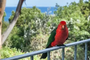 At Riverside - Image 3