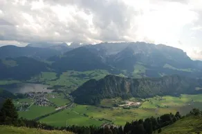 Hinterankerwald - Image 4
