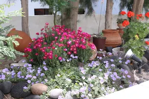 Zorzis Hotel - Image 2