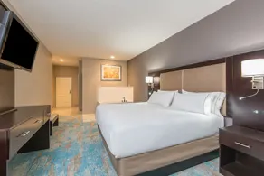 Holiday Inn Express & Suites Norwood - Image 4
