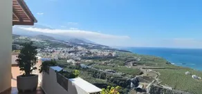 Los Geranios - Image 2