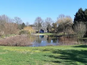 Comfy Holiday Home in Siebengewald With Sauna, Jacuzzi - Image 3