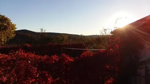 Heaven Country House - Image 5