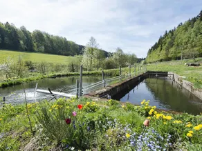Secluded Apartment In Schonsee Near Forest - Image 5