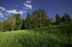 Il Giardino Dell'Artemisia - Image 4