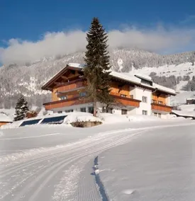 Haus Alpina - Doppelzimmer - Image 2