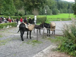 Wildenburger Hof Landgasthof - Image 2