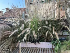 La Terrazza sullArena - Image 2