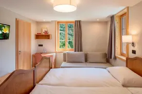 Hotel Nest und Bietschhorn - Image 4