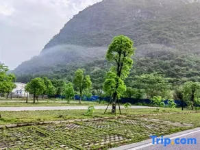 Huangyao Ancient Town RV Travel Homestay - Image 4