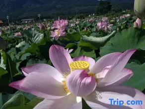 Shanhu Homestay - Image 4