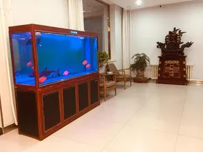 7 Days Premium Baoding Qingyuan Jianshe North Road Branch - Image 4