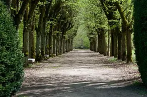 Domaine De Fremigny - Image 4