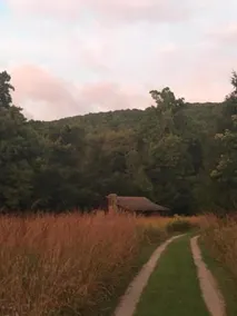Whispering Meadow - Image 2