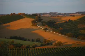 Quindici Alberi - Image 4