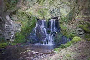 Trelaske Manor B&B - Image 1