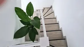 Apartamento Jameo - Image 5