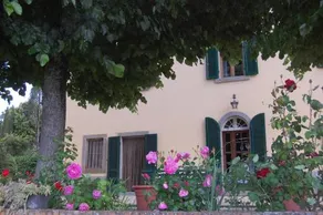 La Maesta - Image 5