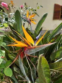 Casa Circuito TerÊsopolis Friburgo - Image 4