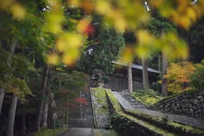 Matsunaga Rokkan Fujiya - Image 5