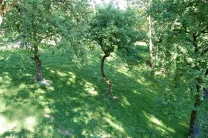 La ferme de Cloiset - Image 5