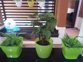 Green House Homestay - Image 3