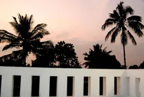 Dream nest residency - Image 4