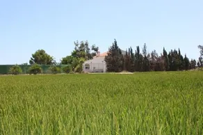Vila Delta - Image 4