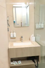 Holiday Inn Chandigarh Panchkula - Image 5