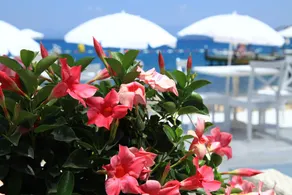 Grand Yazici Torba Beach Club - Image 4