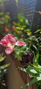 Atout Charme - Image 4