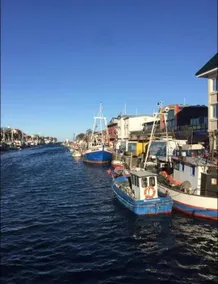 Birnbom - Image 2