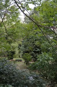 La Foresteria Del Convento - Image 3