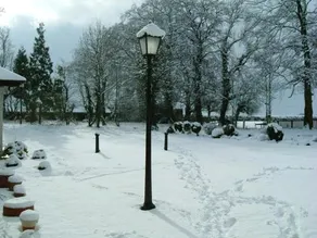 Adniston Manor - Image 3