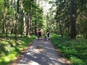 Green Velo Camp - Image 2