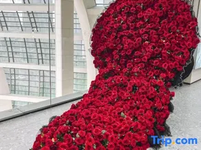 Wangjiang Loubu Shoes Hotel - Image 2