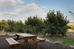 Weinberger Zimmers - Image 3