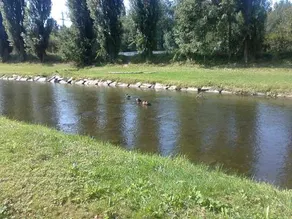 Penzion Hlinkova - Image 3