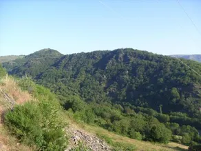 Les Ruches Cevenoles - Image 5