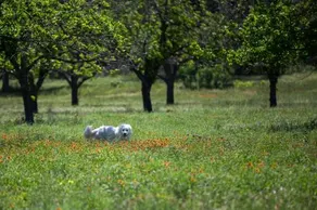 The Palette Pad at Scurlock Farms - Image 5