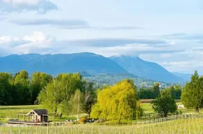 Season Premiere Winery-Bed & Breakfast in vineyard - Image 2