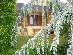 Gästehaus Riegler - Image 2