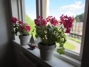 Håverud Hostel - Image 3