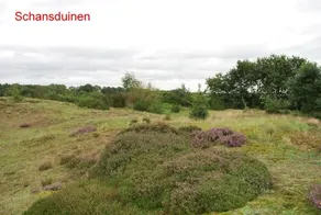 De Riekhoff - Image 2