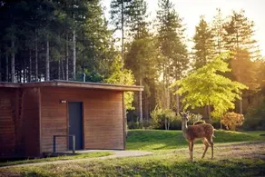 Center Parcs Le Bois Aux Daims - Image 2