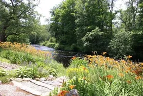 Little River Bed and Breakfast - Image 3