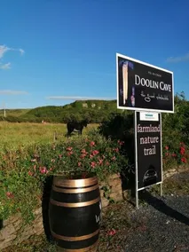 Cannville Bed and Breakfast - Image 3