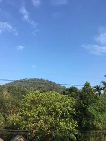 Khao Sok Hostel - Image 2